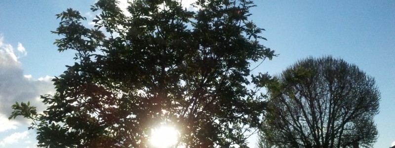 20120511_192112